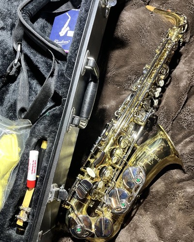Sassofono contralto selmer - sassofono,